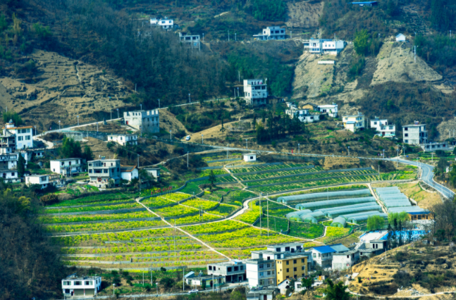 土壤墑情監(jiān)測系統(tǒng)在哪兒建站都行嗎？土壤墑情監(jiān)測系統(tǒng)的建站原則和選址要求
