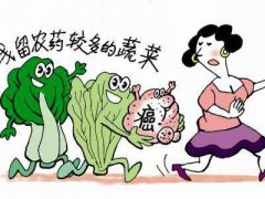 食品安全檢測儀保證冷凍肉類安全 食品安全檢測儀保證冷凍肉類安全