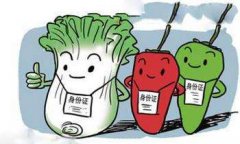 農(nóng)殘快速檢測設備如何進行維護和保養(yǎng) 農(nóng)殘快速檢測設備如何進行維護和保養(yǎng)
