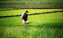 農(nóng)藥殘留速測(cè)儀檢測(cè)原理是什么 農(nóng)藥殘留速測(cè)儀檢測(cè)原理是什么